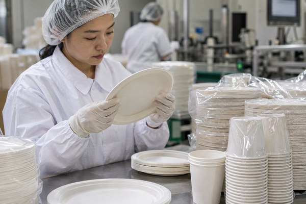 food contact party tableware sourcing sample and quality review in a Shenzhen party supplies factory